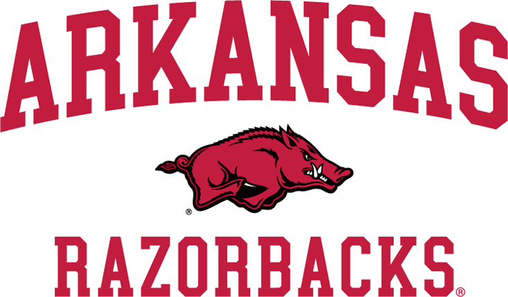 Arkansas Razorbacks 2009-2013 Alternate Logo iron on paper